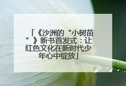《沙洲的“小树苗”》新书首发式：让红色文化在新时代少年心中绽放