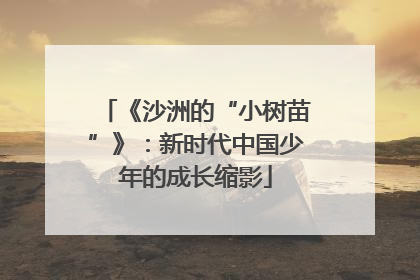 《沙洲的“小树苗”》：新时代中国少年的成长缩影