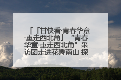 「甘快看·青春华章·重走西北角」“青春华章·重走西北角”采访团走进花舞南山 探寻天水乡村振兴之路