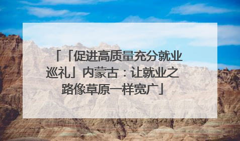 「促进高质量充分就业巡礼」内蒙古：让就业之路像草原一样宽广