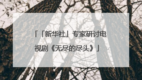 「新华社」专家研讨电视剧《无尽的尽头》