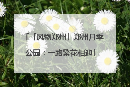 「风物郑州」郑州月季公园:一路繁花相迎