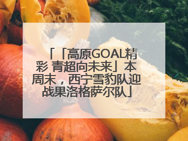 「高原GOAL精彩 青超向未来」本周末，西宁雪豹队迎战果洛格萨尔队