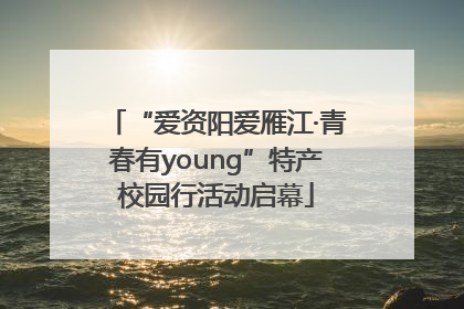 “爱资阳爱雁江·青春有young”特产校园行活动启幕