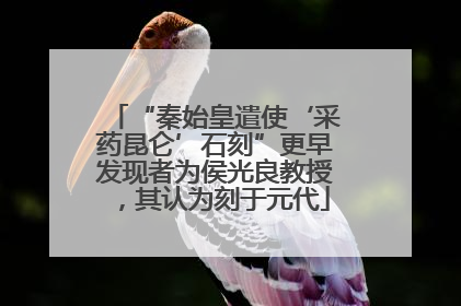 “秦始皇遣使‘采药昆仑’石刻”更早发现者为侯光良教授，其认为刻于元代