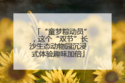“童梦粽动员”，这个“双节”长沙生态动物园沉浸式体验趣味加倍