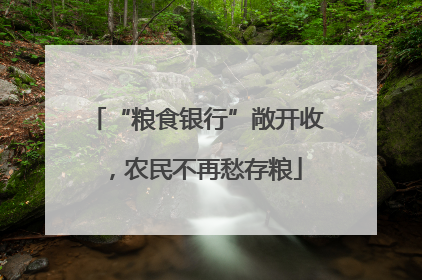 “粮食银行”敞开收，农民不再愁存粮