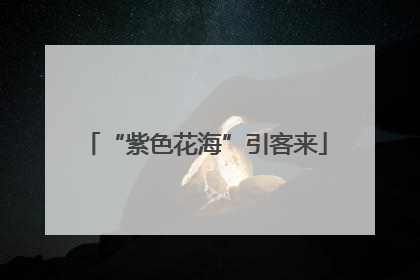 “紫色花海”引客来