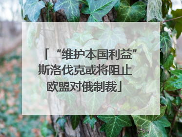 “维护本国利益” 斯洛伐克或将阻止欧盟对俄制裁