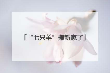 “七只羊”搬新家了