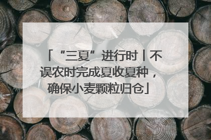 “三夏”进行时丨不误农时完成夏收夏种，确保小麦颗粒归仓