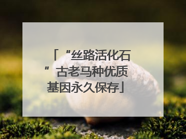“丝路活化石”古老马种优质基因永久保存