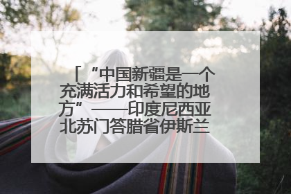 “中国新疆是一个充满活力和希望的地方”——印度尼西亚北苏门答腊省伊斯兰教代表团参访新疆
