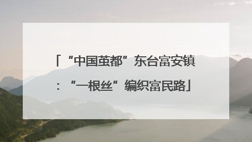 “中国茧都”东台富安镇：“一根丝”编织富民路