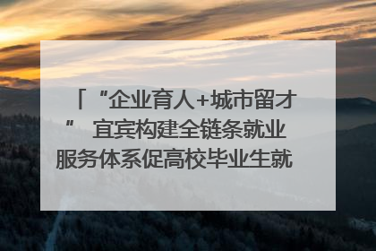 “企业育人+城市留才” 宜宾构建全链条就业服务体系促高校毕业生就业｜您牵挂的四川