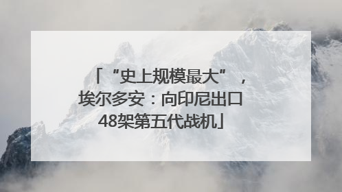 “史上规模最大”，埃尔多安：向印尼出口48架第五代战机