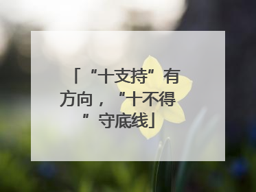 “十支持”有方向，“十不得”守底线