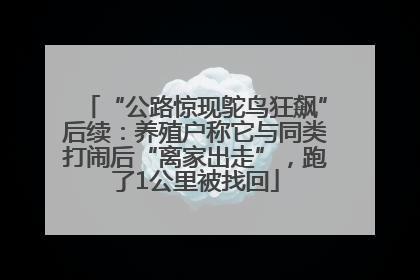 “公路惊现鸵鸟狂飙”后续：养殖户称它与同类打闹后“离家出走”，跑了1公里被找回