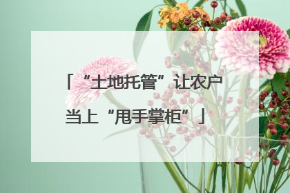 “土地托管”让农户当上“甩手掌柜”
