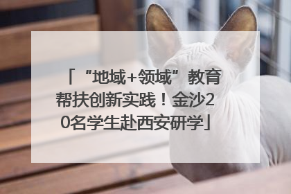 “地域+领域”教育帮扶创新实践！金沙20名学生赴西安研学