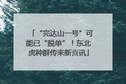 “完达山一号”可能已“脱单”！东北虎种群传来新喜讯