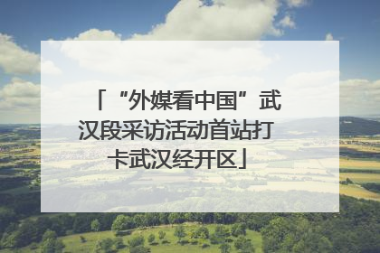 “外媒看中国”武汉段采访活动首站打卡武汉经开区