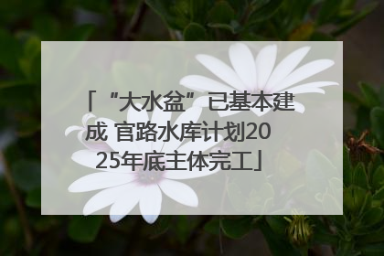 “大水盆”已基本建成 官路水库计划2025年底主体完工