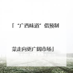“广西味道”借预制菜走向更广阔市场