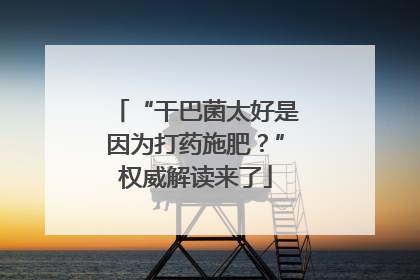“干巴菌太好是因为打药施肥？”权威解读来了