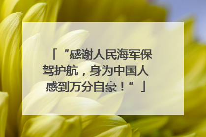 “感谢人民海军保驾护航，身为中国人感到万分自豪！”