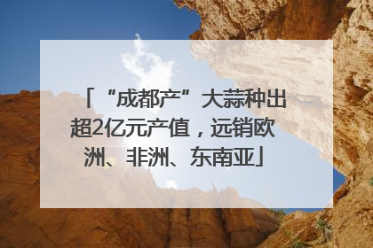 “成都产”大蒜种出超2亿元产值，远销欧洲、非洲、东南亚
