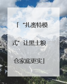 “扎赉特模式”让黑土粮仓家底更实