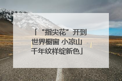 “指尖花”开到世界橱窗 小凉山千年纹样绽新色