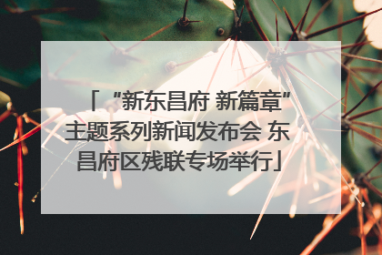 “新东昌府 新篇章”主题系列新闻发布会 东昌府区残联专场举行