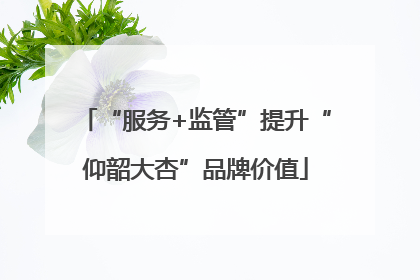 “服务+监管”提升“仰韶大杏”品牌价值