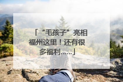 “毛孩子”亮相福州这里！还有很多福利……