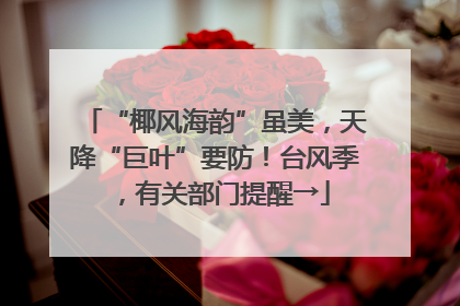 “椰风海韵”虽美，天降“巨叶”要防！台风季，有关部门提醒→
