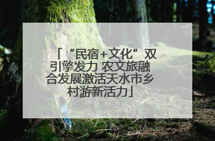 “民宿+文化”双引擎发力 农文旅融合发展激活天水市乡村游新活力