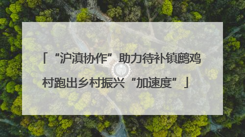 “沪滇协作”助力待补镇鹧鸡村跑出乡村振兴“加速度”