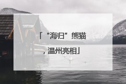 “海归”熊猫，温州亮相