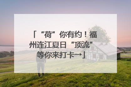 “荷”你有约！福州连江夏日“顶流”等你来打卡→