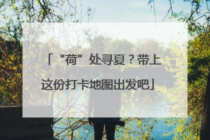 “荷”处寻夏？带上这份打卡地图出发吧