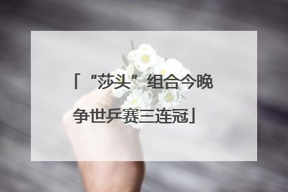 “莎头”组合今晚争世乒赛三连冠