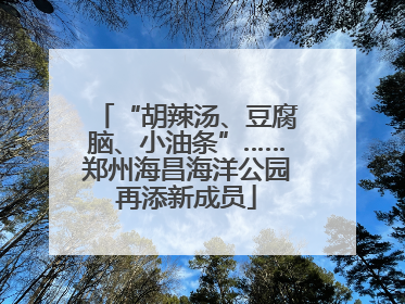 “胡辣汤、豆腐脑、小油条”……郑州海昌海洋公园再添新成员