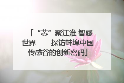 “芯”聚江淮 智感世界——探访蚌埠中国传感谷的创新密码