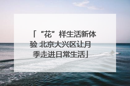 “花”样生活新体验 北京大兴区让月季走进日常生活