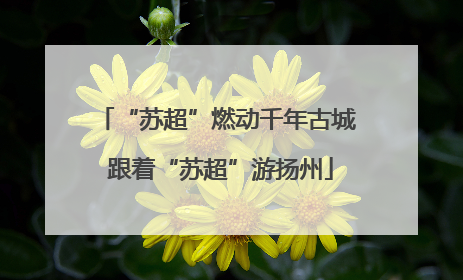 “苏超”燃动千年古城 跟着“苏超”游扬州