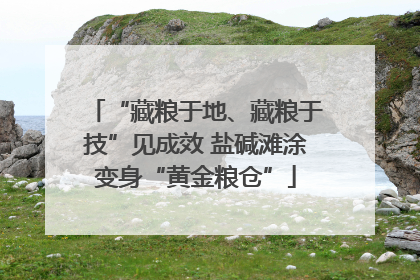 “藏粮于地、藏粮于技”见成效 盐碱滩涂变身“黄金粮仓”