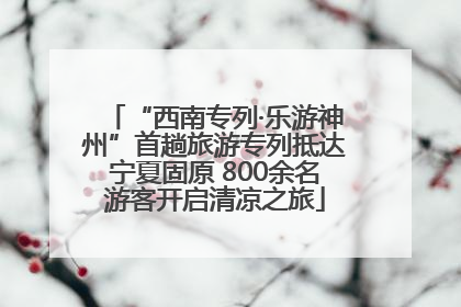 “西南专列·乐游神州”首趟旅游专列抵达宁夏固原 800余名游客开启清凉之旅