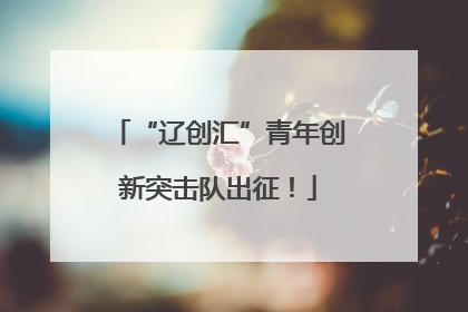 “辽创汇”青年创新突击队出征！